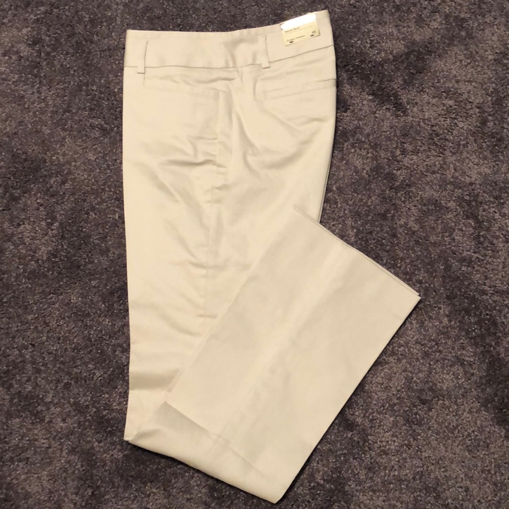 Express Columnist Pants
